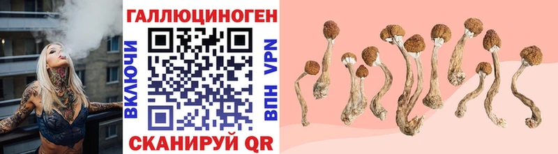 Псилоцибиновые грибы Psilocybe  Апрелевка 